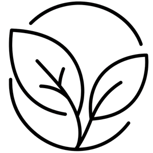 Ethical & Sustainable